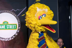 Big Bird 戴著條紋領帶站在芝麻街標誌前。
