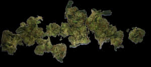 大麻地圖藝術作品