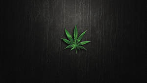 黑色皮革背景上的綠色大麻葉