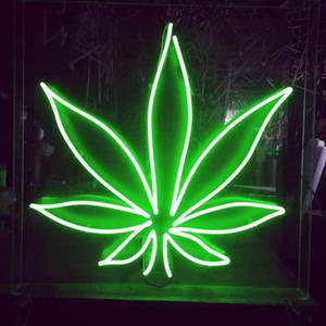 在黑暗環境中發光的綠色霓虹燈大麻葉標誌。