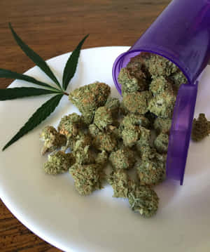 紫色藥瓶將大麻花蕾和葉灑在白色碟上，木桌