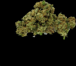 大麻花黑色背景
