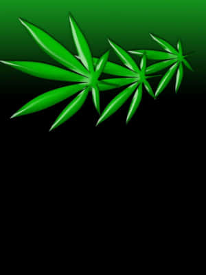 深色漸變背景上的光澤綠色大麻葉。