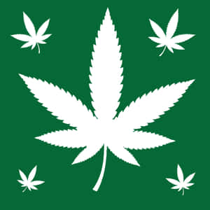 綠色背景上的白色大麻葉圖標