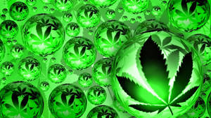 綠色玻璃球體，帶有大麻葉設計，呈現發光數位圖案。