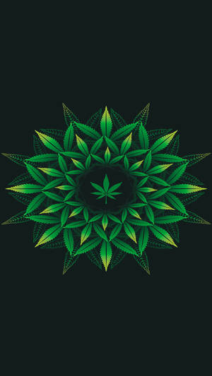 黑色背景上的綠色大麻葉曼陀羅