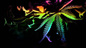 霓虹大麻葉在黑暗旋轉背景上發出彩虹色光芒。