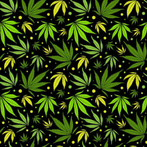 黑色背景上綠色大麻葉和黃色圓點的圖案。