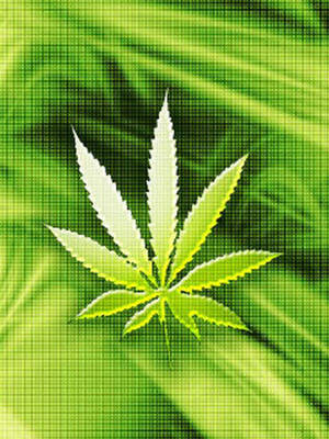 一片發光的大麻葉，位於綠色像素化背景上，帶有光線。