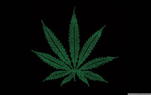 黑色背景上由文字組成的綠色大麻葉
