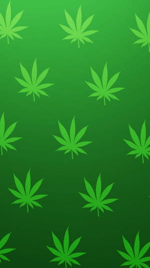 帶有重複大麻葉剪影的綠色漸變背景。