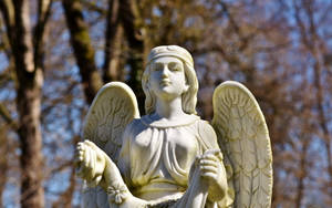 墓園中帶翅膀的白色石天使雕像，周圍環繞著光禿禿的樹木。