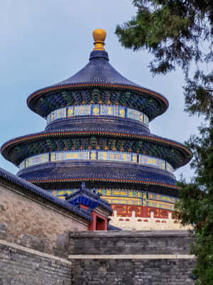 藍色瓷磚寺廟，金色屋頂細節，被石牆和綠色樹木環繞。 — 廟宇 壁紙