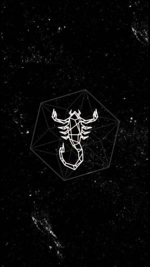 多面體內嘅幾何蠍子對住星光宇宙背景