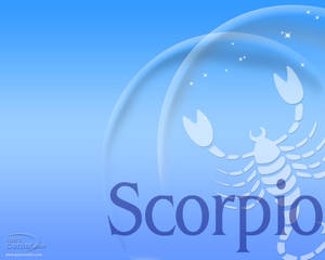 藍色背景上，一個帶有星星和Scorpio字樣的氣泡內的白色蠍子符號。