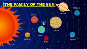 帶有標籤行星和太陽的太陽系教育卡通圖表。