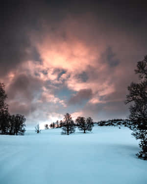 在戲劇性的黃昏天空下，白雪覆蓋的山坡上有光禿禿的樹木。