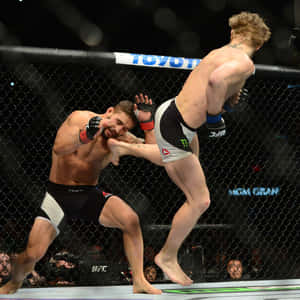兩名MMA拳手在UFC八角籠內交戰，其中一人使出高踢。