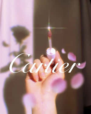 手拿Cartier唇彩，漂浮的粉紅色花瓣和玫瑰陰影。