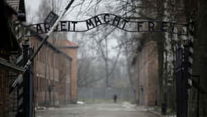 冬季的奧斯威辛集中營入口，帶有『Arbeit Macht Frei』標誌和磚砌建築。