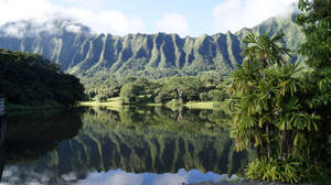 鬱鬱蔥蔥的青山倒映在平靜的湖面上，周圍環繞著熱帶植物。 — 湖 壁紙