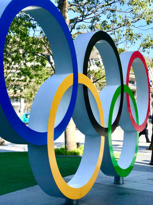 陽光普照的城市公園中的奧運五環雕塑，後面有樹木和建築物。