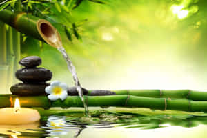 竹林流水疊石蠟燭和雞蛋花