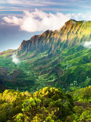 鬱鬱蔥蔥的綠色山脈聳立於雲層之上，前景有鮮豔的樹葉。