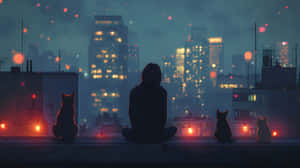 夜晚，一個人和三隻貓坐在屋頂上觀看城市燈光