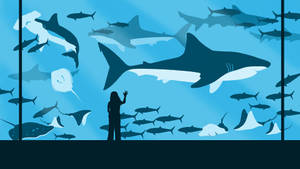 剪影人物在水族館玻璃前向游泳的鯊魚、魔鬼魚和魚類揮手。