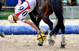 馬術運動員在障礙賽中騎馬抓球。 — 馬 壁紙