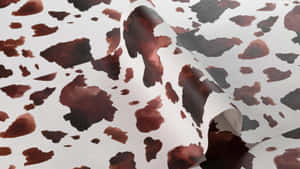 捲起的乳牛印花牆紙，白色背景上有棕色和黑色斑點。 — 牛 壁紙