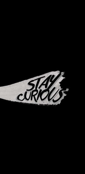 純黑色背景上，帶有粗體白色筆觸文字『STAY CURIOUS』