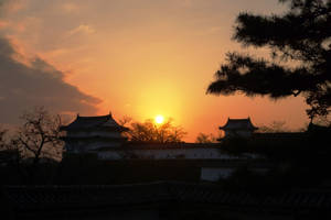 夕陽下日本城堡剪影，前景有松樹枝條。