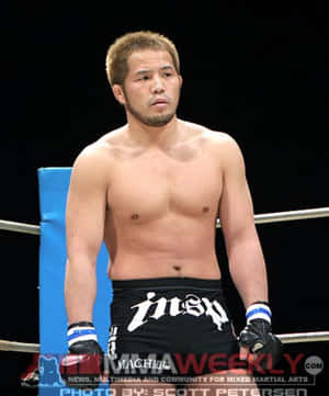 赤裸上身的MMA拳手穿著黑色短褲和手套站在拳擊擂台上。 — 動漫打鬥 壁紙