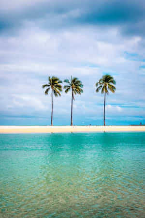 三棵棕櫚樹在熱帶海灘上，海水碧綠，天空多雲。