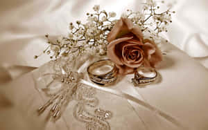 緞面枕頭上的玫瑰和蕾絲結婚戒指 — 玫瑰 壁紙