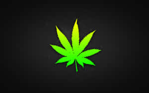 紋理黑色背景上的螢光綠色大麻葉
