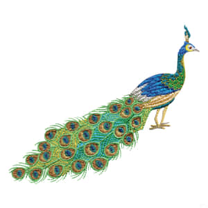 帶有彩色眼狀圖案和長尾羽的刺繡孔雀。 — iPad Pro 13 壁紙
