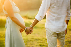 孕婦和伴侶在日落時分的草地上牽手。