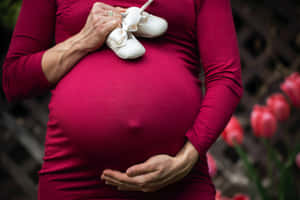 孕婦在鬱金香背景下，將白色嬰兒鞋放在肚子上方。