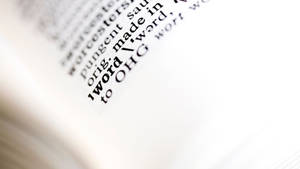 白色書頁上印刷字典文字的近距離特寫。