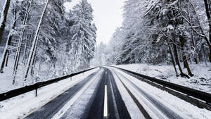 在寧靜的冬日森林中，兩旁是積雪的樹木的雪路。