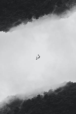 跳傘者穿過雲層，在黑白森林覆蓋的山脈之間墜落。