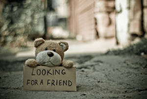 一隻孤獨嘅泰迪熊喺行人路上舉住一塊寫住「Looking for a friend」嘅標誌。