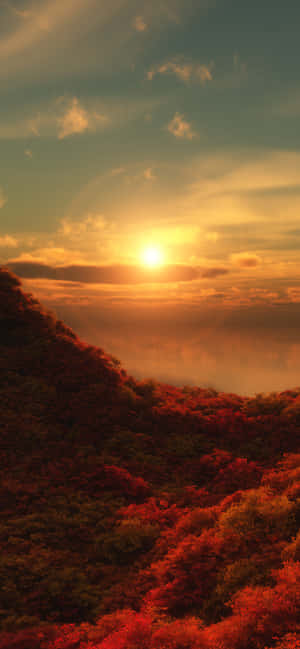 秋日山林日落，金色天空下火紅和橙色的樹葉。