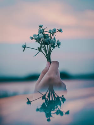 手拿藍色花朵，水面倒影，暮色 — 美學 壁紙