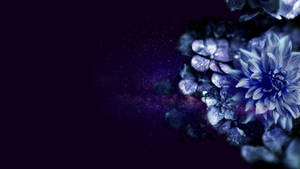 藍色和紫色花朵漂浮在星光燦爛的宇宙空間場景中。 — 紫色花朵 壁紙