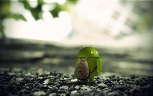 綠色Android公仔揹著背包站在戶外碎石上。
