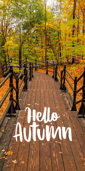 穿過秋日森林的木製步道，有落葉和「Hello Autumn」文字。